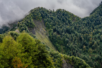 Forested mountain slopes with mist in Qabala Azerbaijan