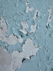 Peeling Light Blue Paint on Interior Wall Revealing Underlying Layers