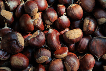 vista macro di un raccolto di castagne mature di grandi dimensioni in autunno