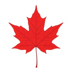 Naklejka premium Vibrant red maple leaf symbol of canada