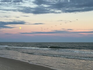sunset on the beach with pelicans flying by