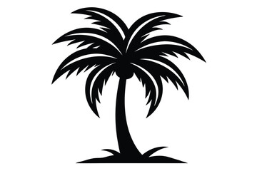 Fototapeta premium Solitary monochrome palm tree ascends from the earth, forming a striking, bold silhouette