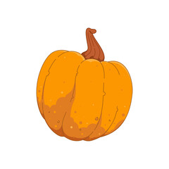 Bright vector illustration of a pumpkin in warm orange tones. Perfect for autumn, harvest, Halloween, Thanksgiving, seasonal decor, and food design projects.