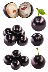 Jaboticaba or jabuticaba is a purplish black-white fruit that can be eaten raw or used to make jams, juices, liqueur or wine. Typical Brazil fruit on white isolated background.