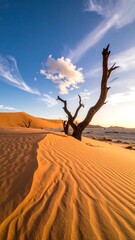 Desolate desert landscape with lone tree