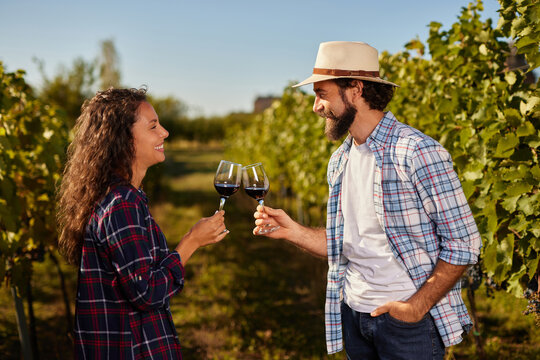 A couple enjoys each other's company while clinking glasses filled with red wine, surrounded by lush vines in a family-owned vineyard under a clear blue sky.