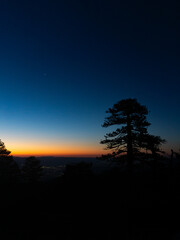 Silhouette of a tree against a vibrant sunset with a gradient sky and distant city lights below it © Rodrigo