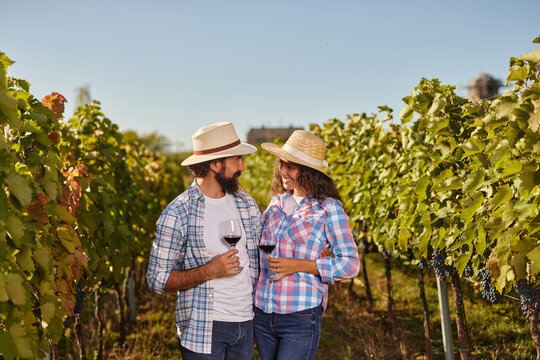 A couple stands amongst lush grapevines, holding glasses of red wine. They share a joyful moment under the clear sky, surrounded by their vineyard's rich greenery. - Powered by Adobe