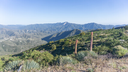 A view of the mountains and hills with green brush and agave plants on a sunny day with a blue sky