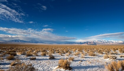 Wide Open Empty Desert Landscape In Nevada During Winter With Blue Skies And Clouds Mountains In The Distance