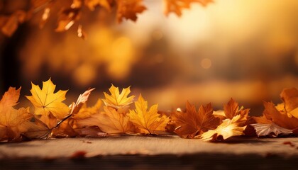 Fall Background