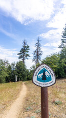 Silhouette of a joshua tree against a gradient sky at dusk with distant hills and other trees visible © Rodrigo