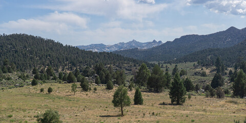 A campsite with a tent and a joshua tree at sunset in the desert landscape of california © Rodrigo