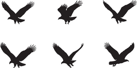 vector birds silhouette