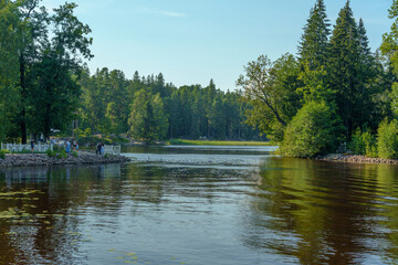 Calm river with green trees and shoreline in summer forest park