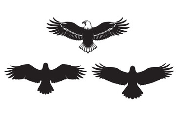 vector birds silhouette