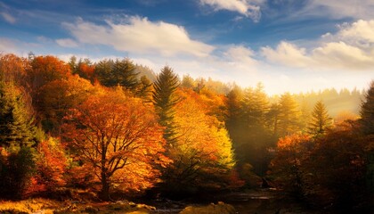 Fall Forest Landscape