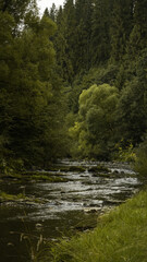 Carpathian river with a rapid and stones. cloudy weather