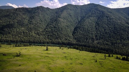 Aerial landscape of taiga forest and mountains, Altai, Russia