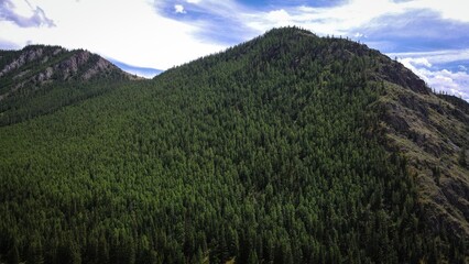 Aerial landscape of taiga forest and mountains, Altai, Russia