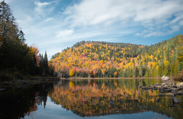 Obraz premium Landscape picture of nature in autumn with water reflection