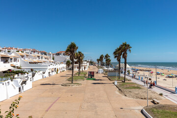 Matalascanas, Cadiz, Andalusia, Spain. 1 September 2025. Palm trees and white houses by the promenade
