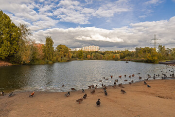 view of the river in the city