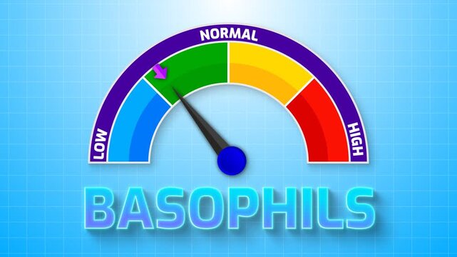4K Animated Basophils Count Meter Increasing from Low to High Levels , Monitoring Allergic Reactions and Immune Response Triggers