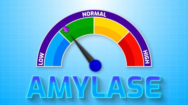 4K Animated Amylase Level Meter Increasing from Low to High Levels , Evaluating Pancreatic Function and Digestive Health