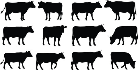 Cattle silhouette grid, black cow icons, livestock posture variations, farm animal shapes, grazing and standing cows, minimalist agricultural vector illustration