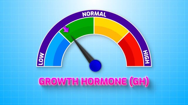 4K Animated Growth Hormone (GH) Level Meter Increasing from Low to High Levels , Monitoring Pituitary Function and Developmental Health