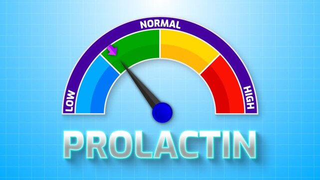 4K Animated Prolactin Level Meter Increasing from Low to High Levels , Assessing Lactation and Pituitary Function