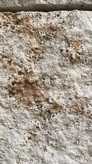 stone wall background