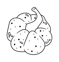 Pumpkin black-and-white natural autumn vegetable