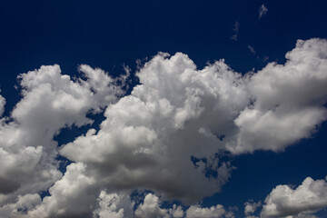 Blue sky background with white clouds. Cumulus white clouds in the blue sky.