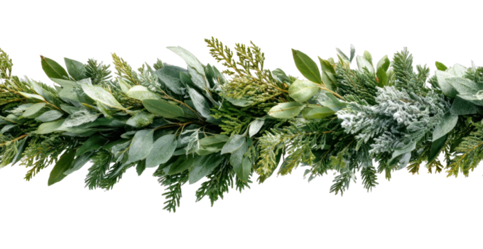 PNG Lush evergreen garland decoration