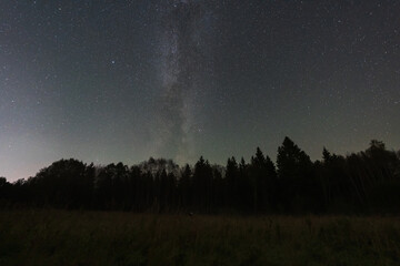 Fototapeta premium The majestic Milky Way galaxy shines brightly in the dark night sky above a silhouetted forest in rural Estonia.