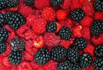 Vibrant Berries Mixed Together in Fresh Arrangement