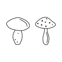 Cute hand drawn outline edible mushroom and fly agaric amanita isolated on white background.