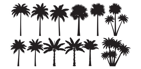 Tropical Palm Tree Silhouette Vector Art Design Summer Beach Vacation Exotic Flora Nature Illustration Landscape