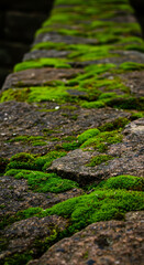 Vertical Stone Wall with Moss Texture