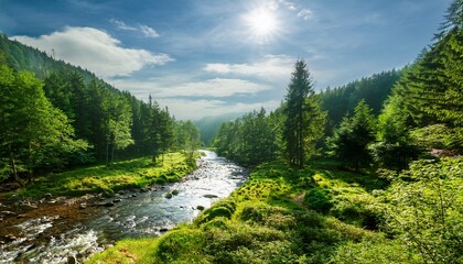 Fototapeta premium Lush Green Forest Landscape With A Winding River During Midday In A Serene Natural Setting
