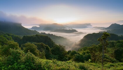 Obraz premium Misty Viewpoint Over Lush Green Landscape Nature Photography Foggy Environment Serene Atmosphere