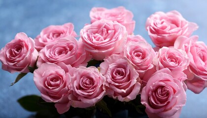 Obraz premium Pink Roses Flowers