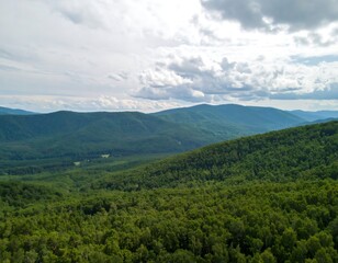 Fototapeta premium Mountain vista, lush forest, cloudy sky