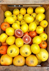 lemons and oranges in a box at the market