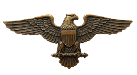American eagle emblem on white background