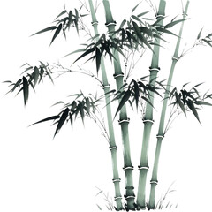 Fototapeta premium Bamboo stalks and leaves illustration isolated on transparent background