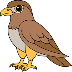 Cartoon falcon standing, illustration in bright and bold colors