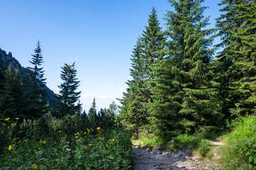 Fototapeta premium Landscape of Rila Mountain near Malyovitsa peak, Bulgaria